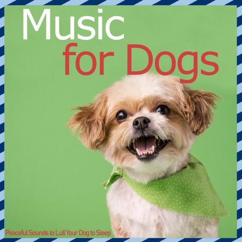 Music for Dogs - Peaceful Sounds to Lull Your Dog to Sleep