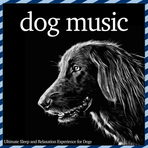 Dog Music - Ultimate Sleep and Relaxation Experience for Dogs