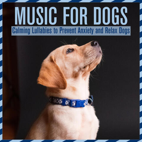 Music for Dogs: Calming Lullabies to Prevent Anxiety and Relax Dogs