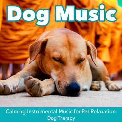 Pet Therapy Music