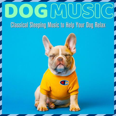 Dog Music: Classical Sleeping Music to Help Your Dog Relax