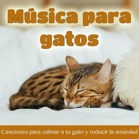 Cat Music Dreams & RelaxMyCat