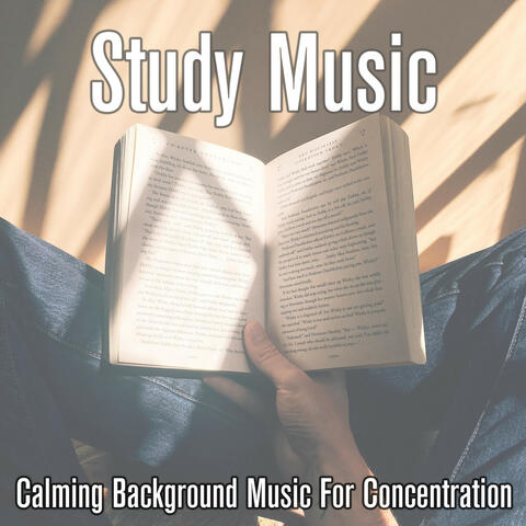 Study Music: Calming BGM for Concentration