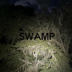 SWAMP