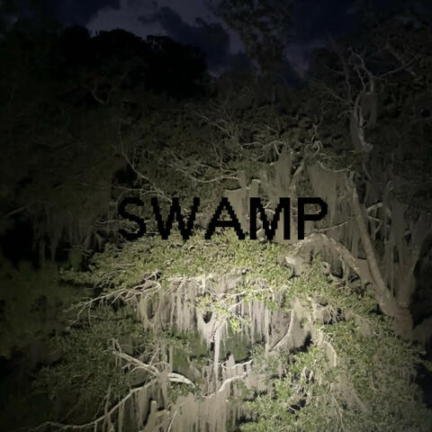 SWAMP