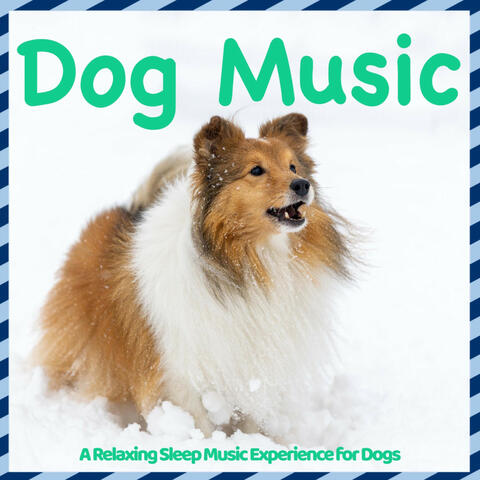 Dog Music - A Relaxing Sleep Music Experience for Dogs