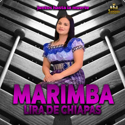 Libro Sagrado Pop Wuj Timach