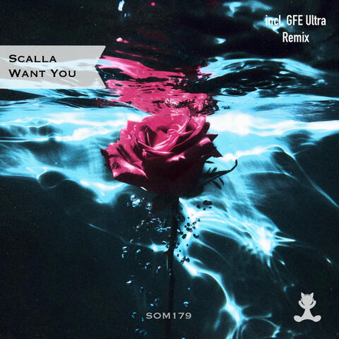 Want You