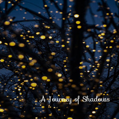 A Journey of Shadows