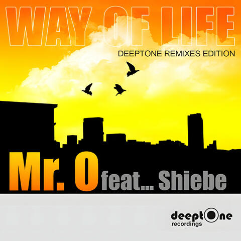 Way Of Life (Deeptone Remix Edition) (feat. Sheibe)
