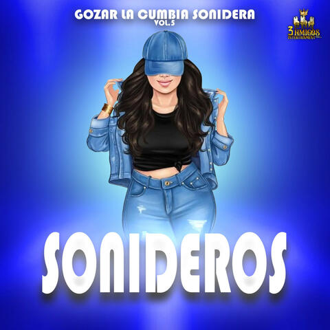 Gozar La Cumbia Sonidera Vol. 5