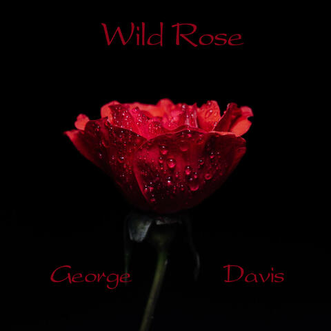 Wild Rose