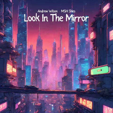 Look In The Mirror (feat. MSH Skies)