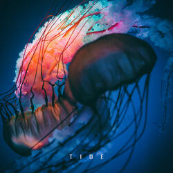 Tide