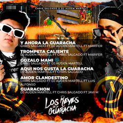 AMOR CLANDESTINO (feat. DJ AUDEN MARTELL, LUIS ALFONSO