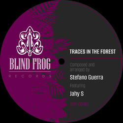 Traces in the Forest (feat Jahy S)