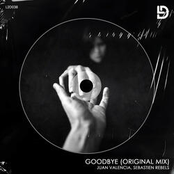 Goodbye