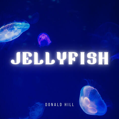 Jellyfish