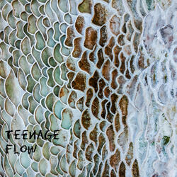 Teenage Flow