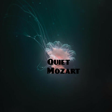 Quiet Mozart