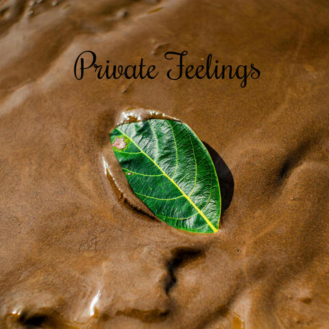 Private Feelings