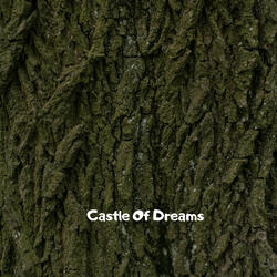 Castle Of Dreams