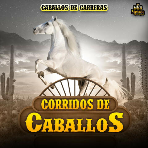 Cabsllos De Carreras