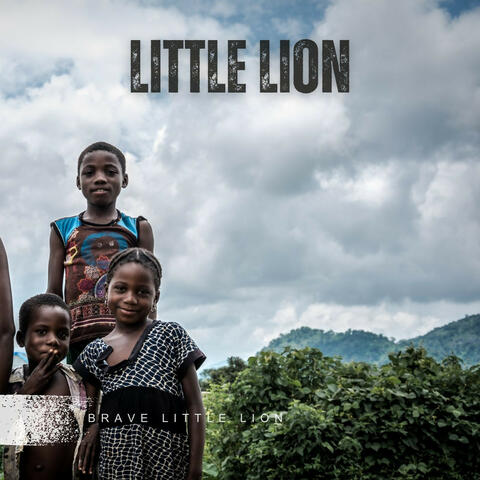 Little Lion