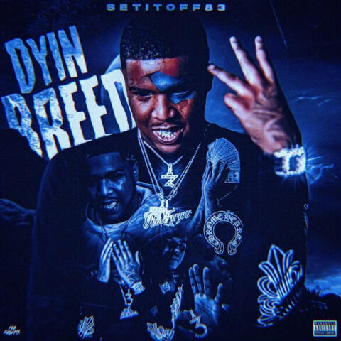 Setitoff83