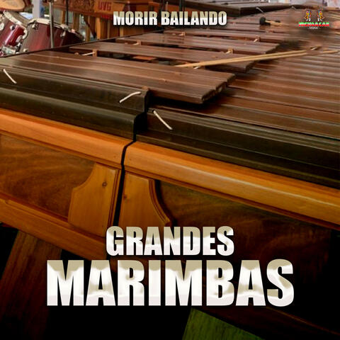 Morir Bailando