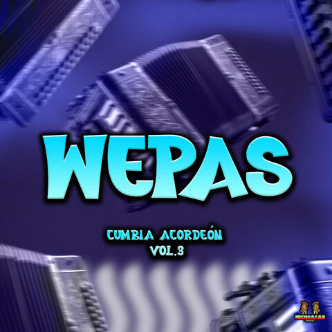 Cumbia Acordeon Vol. 3