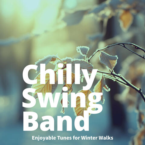 Enjoyable Tunes for Winter Walks