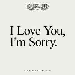 I Love You, I'm Sorry (Live Cover)