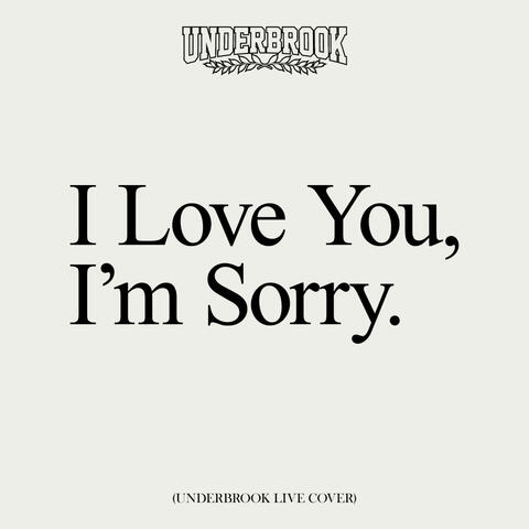 I Love You, I'm Sorry (Live Cover)