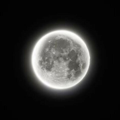 Fly Me To The Moon