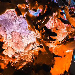 Metaverse
