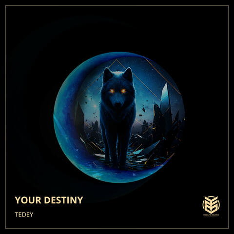 Your Destiny