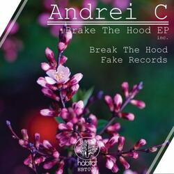 Fake Records