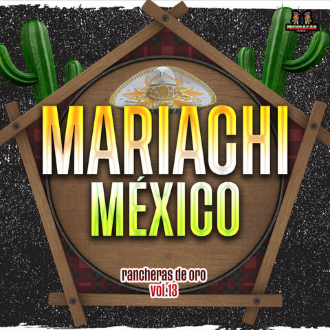Rancheras De Oro Vol. 13