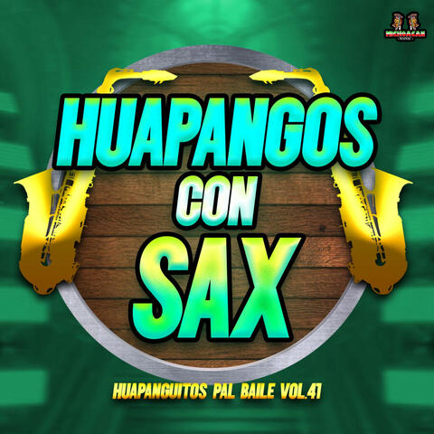 Huapanguitos Pal Baile Vol. 41