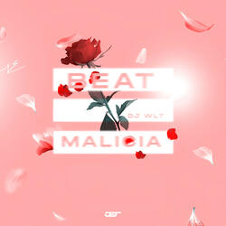 BEAT-MALICIA