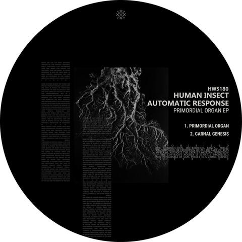 Primordial Organ EP