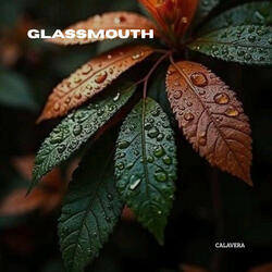 Glassmouth