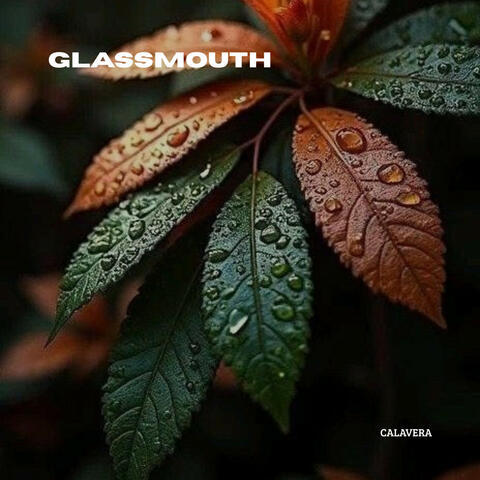Glassmouth