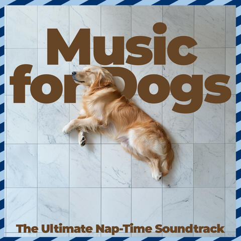 Music for Dogs – The Ultimate Nap-Time Soundtrack