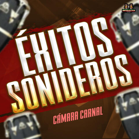 Camara Carnal