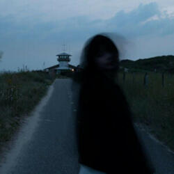 Limerence