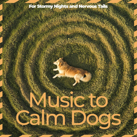 Music to Calm Dogs – For Stormy Nights and Nervous Tails