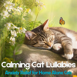Feline Float Field