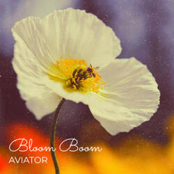 Bloom Boom